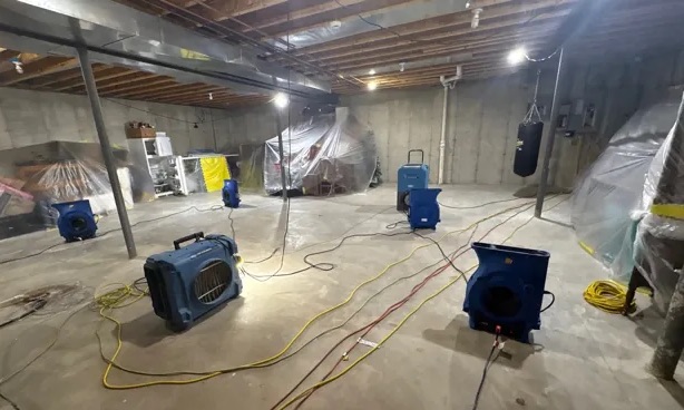Basement Water Extraction in Benjamin, UT