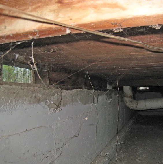 Crawl Space Water Extraction in Orem, UT