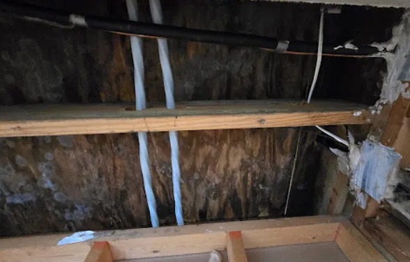 Attic Water Extraction in Mapleton, UT