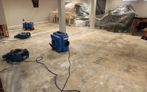 Dehumidification Services in Mapleton, UT