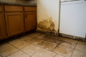 Kitchen Water Removal